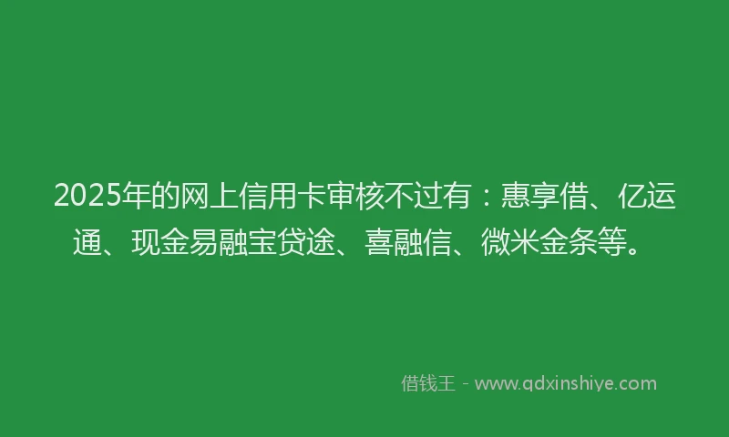 2025年的网上信用卡审核不过有：惠享借、亿运通、现金易融宝贷途、喜融信、微米金条等。