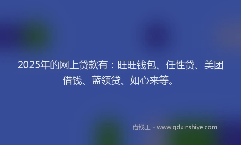 2025年的网上贷款有：旺旺钱包、任性贷、美团借钱、蓝领贷、如心来等。