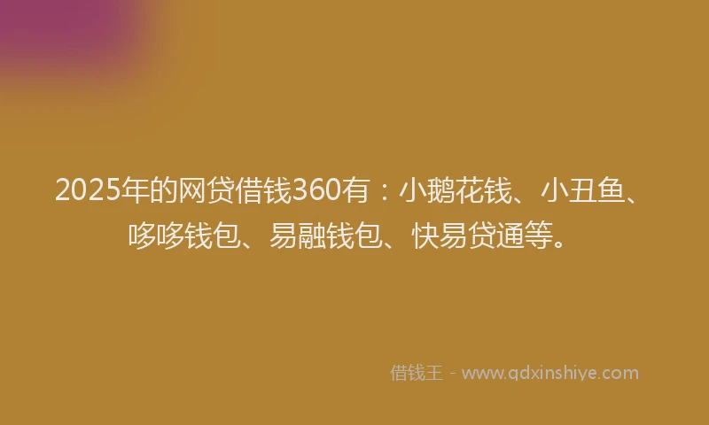 2025年的网贷借钱360有：小鹅花钱、小丑鱼、哆哆钱包、易融钱包、快易贷通等。