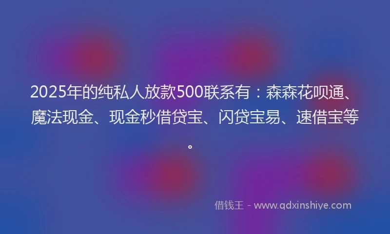 2025年的纯私人放款500联系有：森森花呗通、魔法现金、现金秒借贷宝、闪贷宝易、速借宝等。