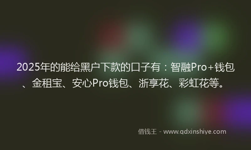 2025年的能给黑户下款的口子有：智融Pro+钱包、金租宝、安心Pro钱包、浙享花、彩虹花等。