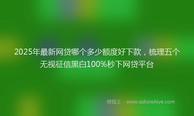 2025年最新网贷哪个多少额度好下款，梳理五个无视征信黑白100%秒下网贷平台