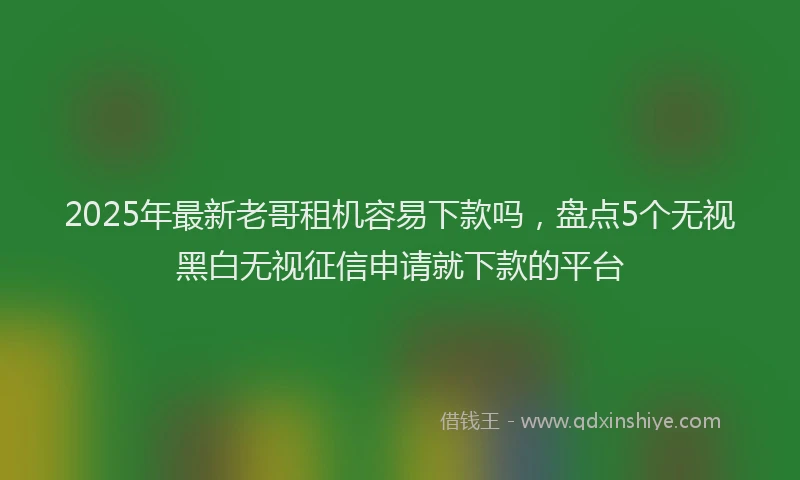 2025年最新老哥租机容易下款吗，盘点5个无视黑白无视征信申请就下款的平台