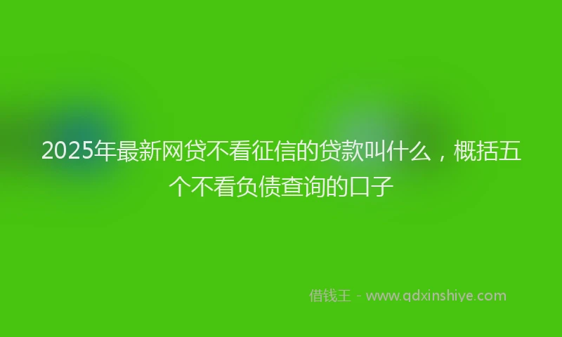 2025年最新网贷不看征信的贷款叫什么，概括五个不看负债查询的口子