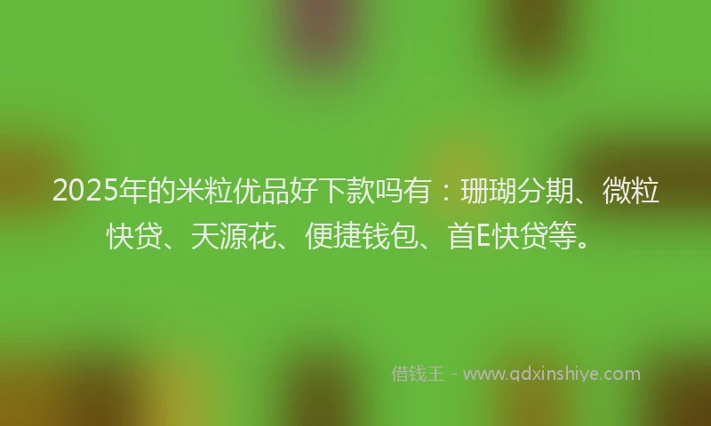 2025年的米粒优品好下款吗有：珊瑚分期、微粒快贷、天源花、便捷钱包、首E快贷等。