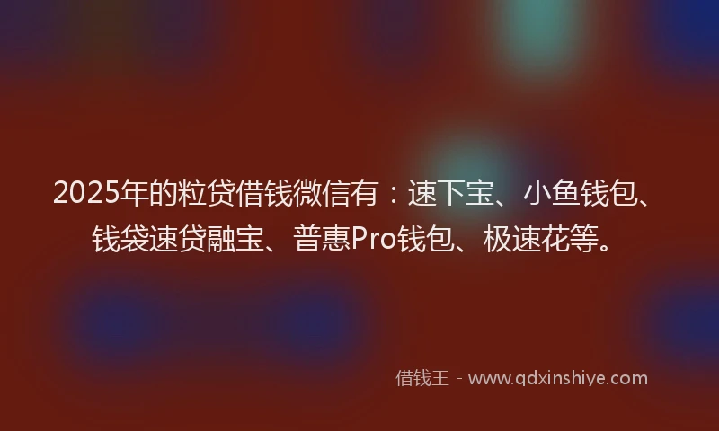 2025年的粒贷借钱微信有：速下宝、小鱼钱包、钱袋速贷融宝、普惠Pro钱包、极速花等。