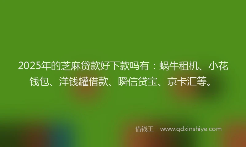 2025年的芝麻贷款好下款吗有：蜗牛租机、小花钱包、洋钱罐借款、瞬信贷宝、京卡汇等。