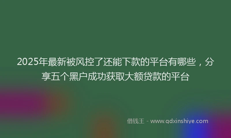 2025年最新被风控了还能下款的平台有哪些，分享五个黑户成功获取大额贷款的平台
