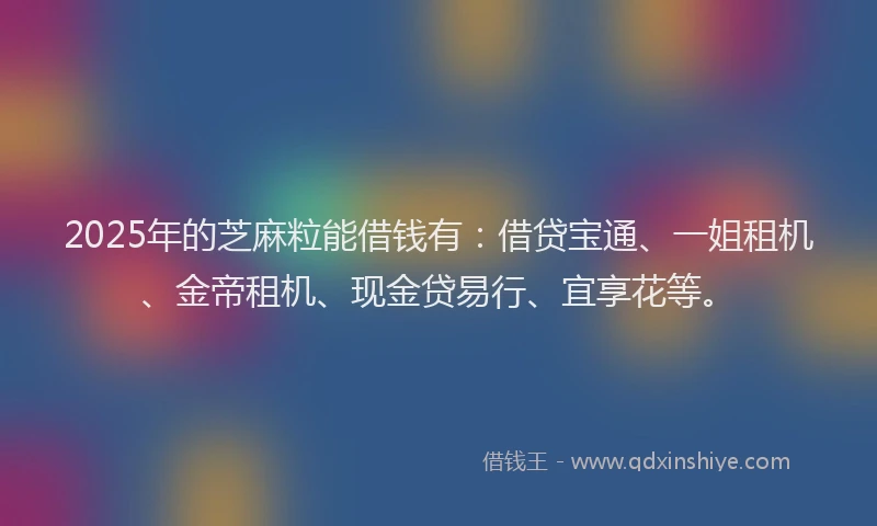 2025年的芝麻粒能借钱有:借贷宝通、一姐租机、金帝租机、现金贷易行、宜享花等。
