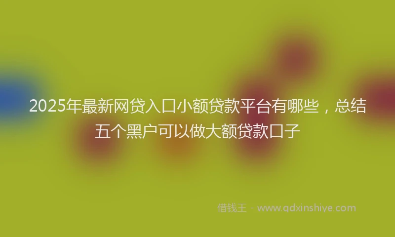 2025年最新网贷入口小额贷款平台有哪些，总结五个黑户可以做大额贷款口子