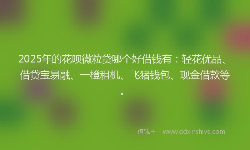2025年的花呗微粒贷哪个好借钱有：轻花优品、借贷宝易融、一橙租机、飞猪钱包、现金借款等。