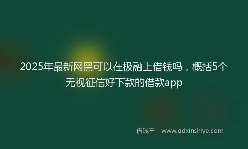 2025年最新网黑可以在极融上借钱吗，概括5个无视征信好下款的借款app