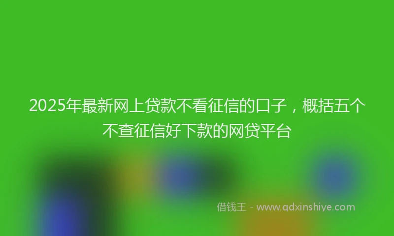 2025年最新网上贷款不看征信的口子，概括五个不查征信好下款的网贷平台