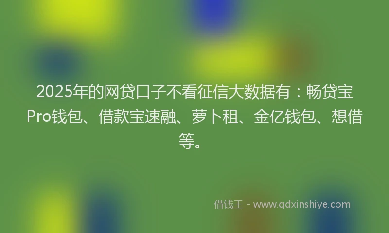 2025年的网贷口子不看征信大数据有：畅贷宝Pro钱包、借款宝速融、萝卜租、金亿钱包、想借等。
