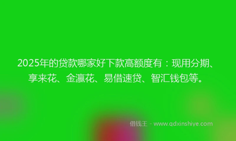 2025年的贷款哪家好下款高额度有：现用分期、享来花、金瀛花、易借速贷、智汇钱包等。