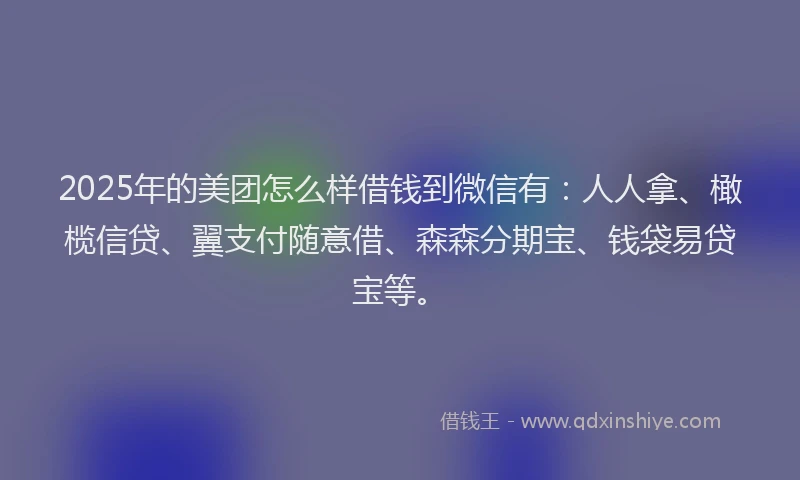 2025年的美团怎么样借钱到微信有：人人拿、橄榄信贷、翼支付随意借、森森分期宝、钱袋易贷宝等。