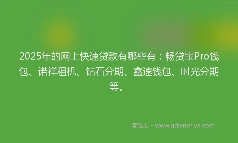 2025年的网上快速贷款有哪些有：畅贷宝Pro钱包、诺祥租机、钻石分期、鑫速钱包、时光分期等。