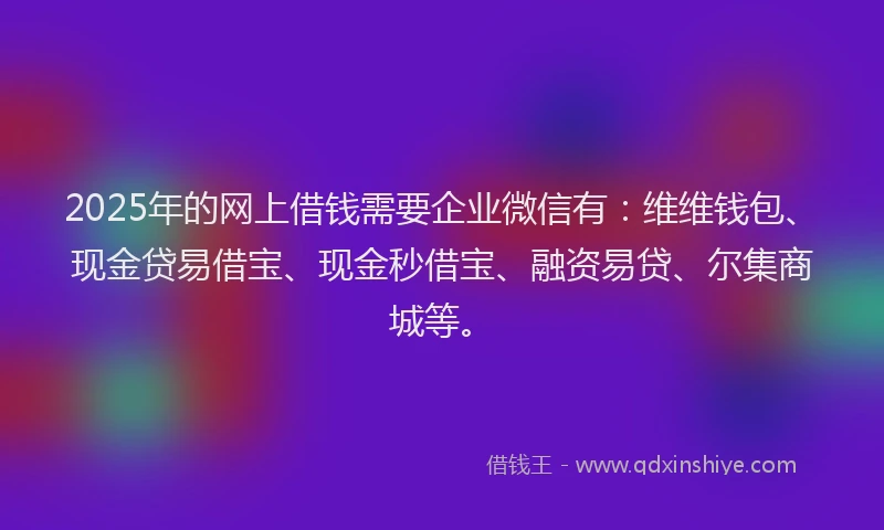 2025年的网上借钱需要企业微信有：维维钱包、现金贷易借宝、现金秒借宝、融资易贷、尔集商城等。