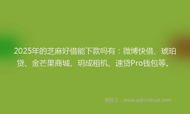 2025年的芝麻好借能下款吗有：微博快借、琥珀贷、金芒果商城、玥成租机、速贷Pro钱包等。