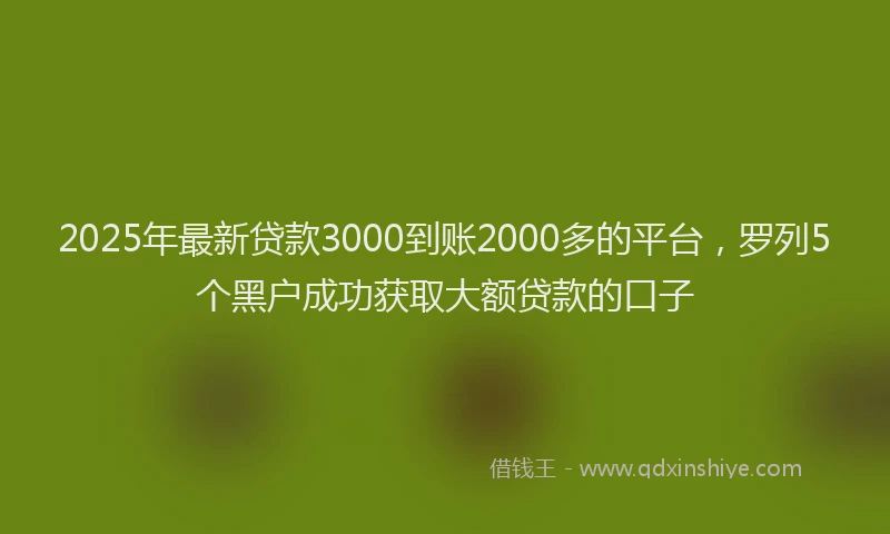2025年最新贷款3000到账2000多的平台，罗列5个黑户成功获取大额贷款的口子