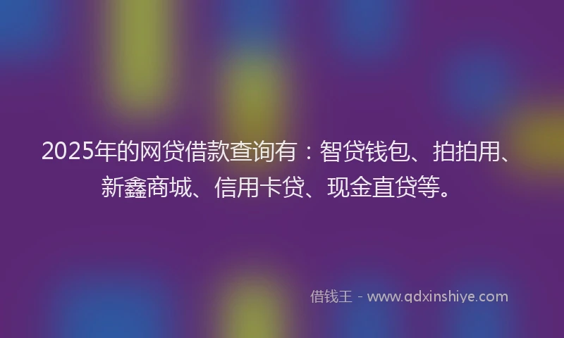 2025年的网贷借款查询有：智贷钱包、拍拍用、新鑫商城、信用卡贷、现金直贷等。