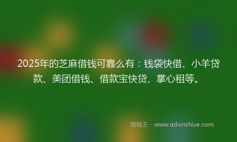2025年的芝麻借钱可靠么有：钱袋快借、小羊贷款、美团借钱、借款宝快贷、掌心租等。
