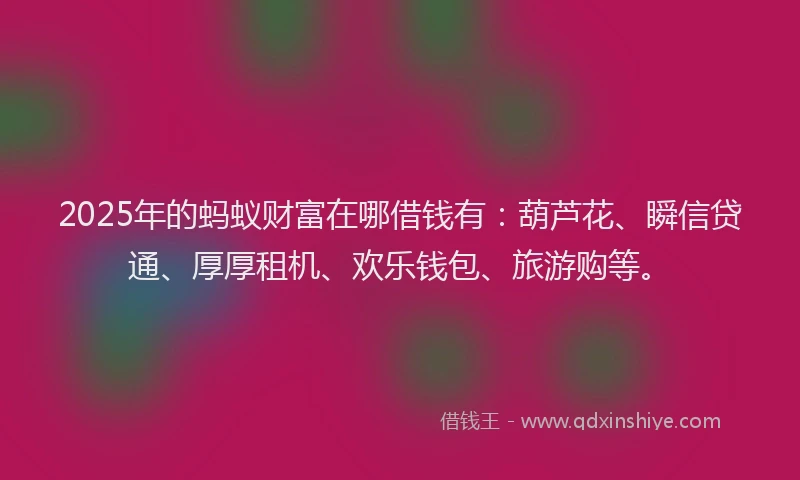 2025年的蚂蚁财富在哪借钱有：葫芦花、瞬信贷通、厚厚租机、欢乐钱包、旅游购等。