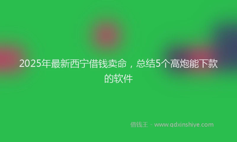 2025年最新西宁借钱卖命，总结5个高炮能下款的软件