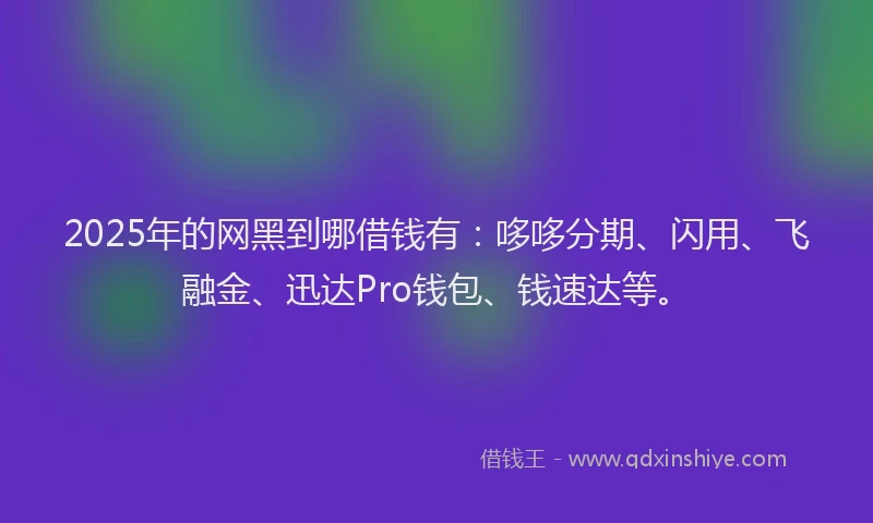 2025年的网黑到哪借钱有：哆哆分期、闪用、飞融金、迅达Pro钱包、钱速达等。