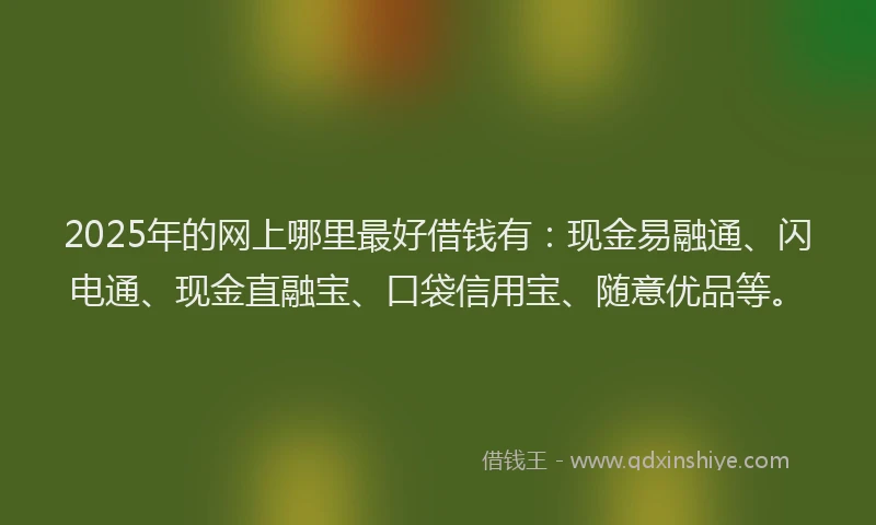 2025年的网上哪里最好借钱有：现金易融通、闪电通、现金直融宝、口袋信用宝、随意优品等。
