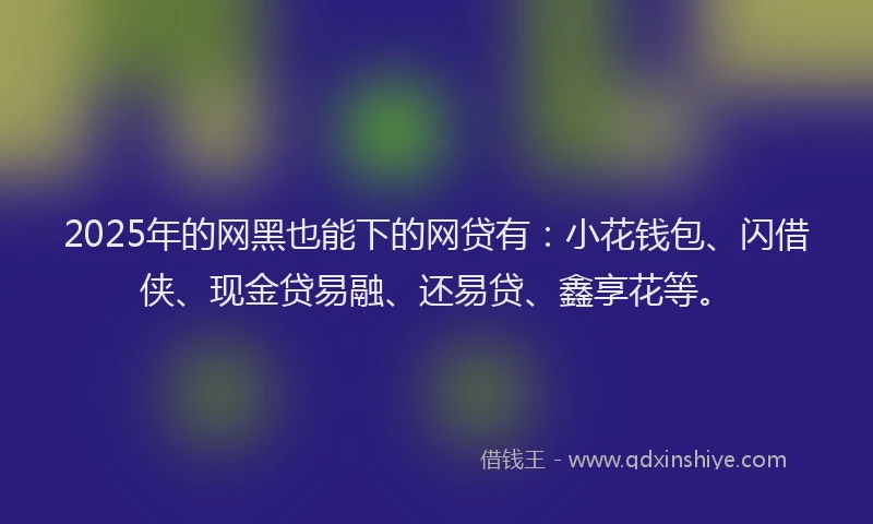 2025年的网黑也能下的网贷有：小花钱包、闪借侠、现金贷易融、还易贷、鑫享花等。