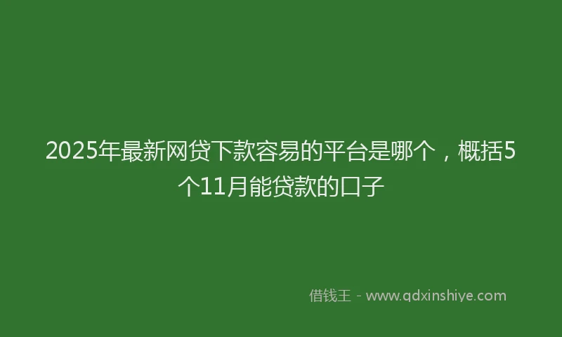 2025年最新网贷下款容易的平台是哪个，概括5个11月能贷款的口子