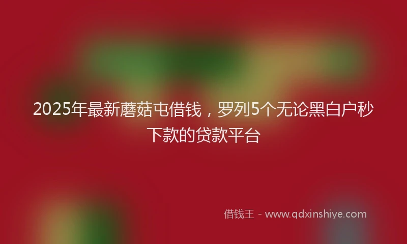 2025年最新蘑菇屯借钱，罗列5个无论黑白户秒下款的贷款平台