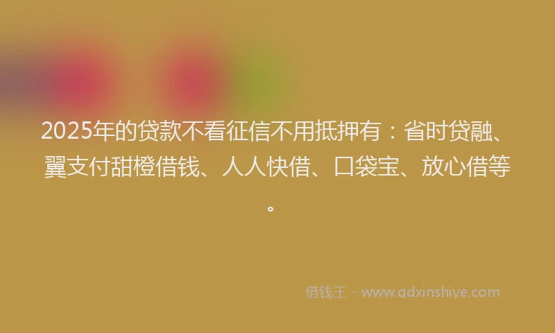 2025年的贷款不看征信不用抵押有：省时贷融、翼支付甜橙借钱、人人快借、口袋宝、放心借等。