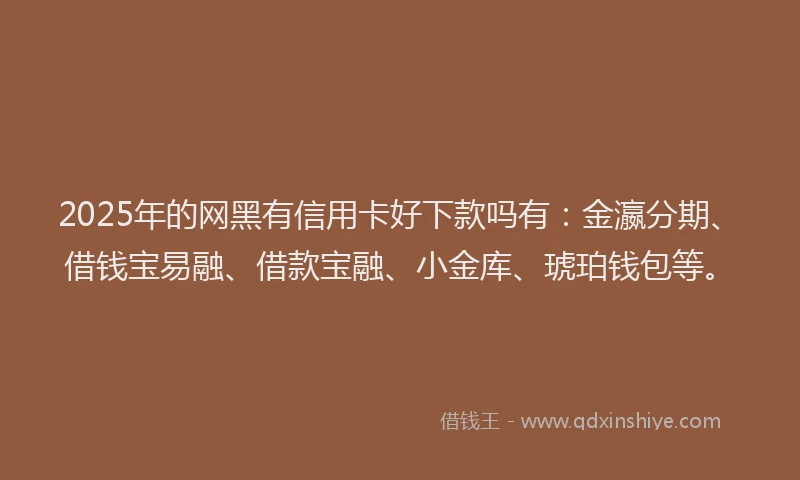 2025年的网黑有信用卡好下款吗有：金瀛分期、借钱宝易融、借款宝融、小金库、琥珀钱包等。