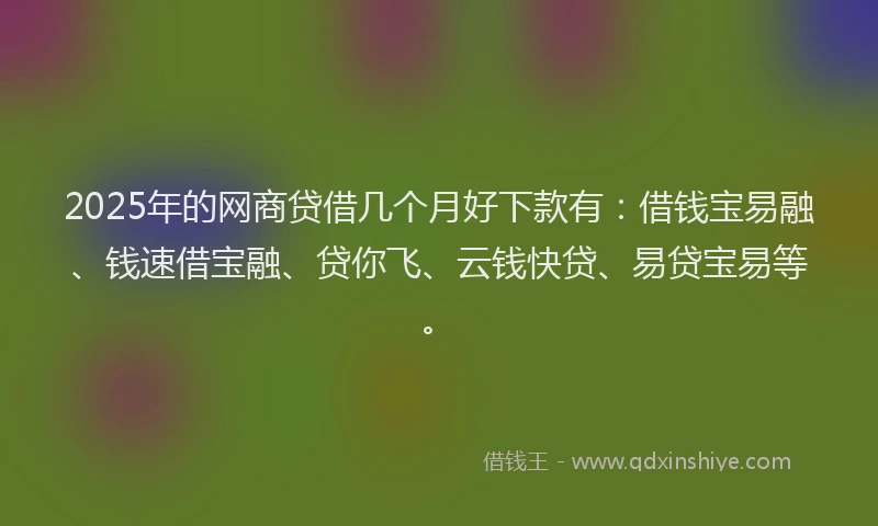 2025年的网商贷借几个月好下款有：借钱宝易融、钱速借宝融、贷你飞、云钱快贷、易贷宝易等。