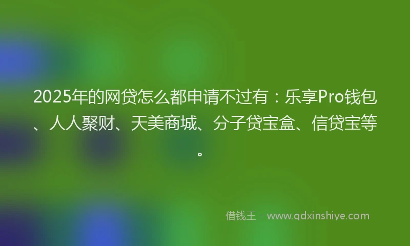 2025年的网贷怎么都申请不过有：乐享Pro钱包、人人聚财、天美商城、分子贷宝盒、信贷宝等。