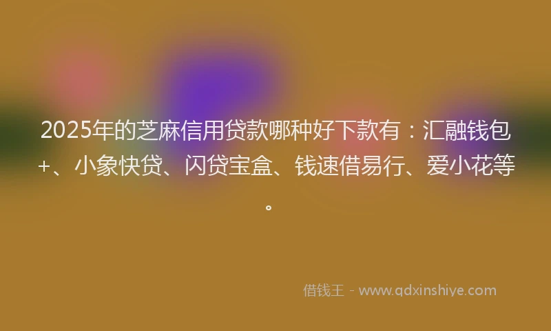 2025年的芝麻信用贷款哪种好下款有：汇融钱包+、小象快贷、闪贷宝盒、钱速借易行、爱小花等。