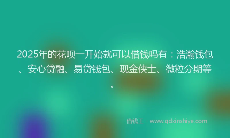 2025年的花呗一开始就可以借钱吗有：浩瀚钱包、安心贷融、易贷钱包、现金侠士、微粒分期等。
