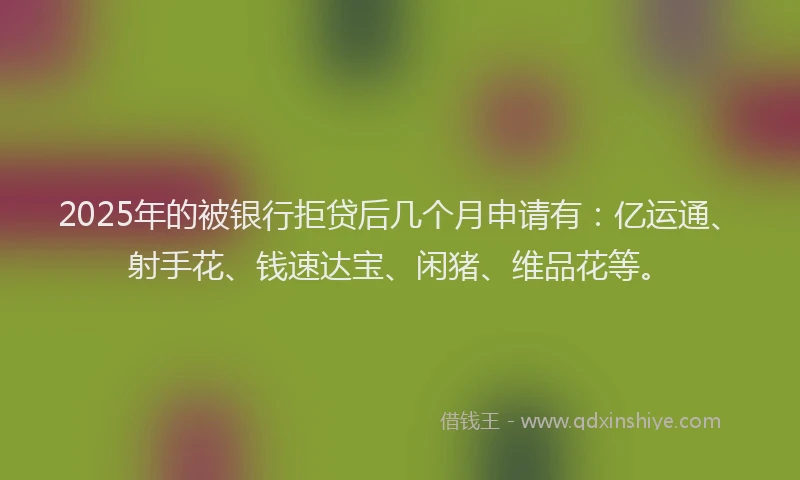 2025年的被银行拒贷后几个月申请有：亿运通、射手花、钱速达宝、闲猪、维品花等。