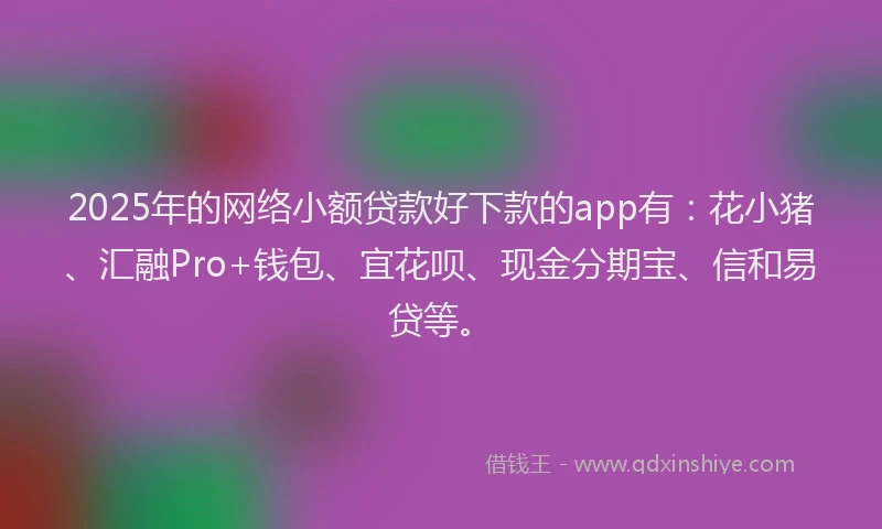 2025年的网络小额贷款好下款的app有：花小猪、汇融Pro+钱包、宜花呗、现金分期宝、信和易贷等。