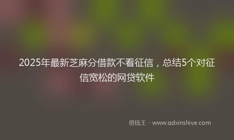 2025年最新芝麻分借款不看征信，总结5个对征信宽松的网贷软件