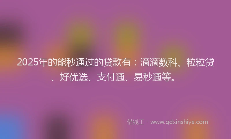 2025年的能秒通过的贷款有：滴滴数科、粒粒贷、好优选、支付通、易秒通等。