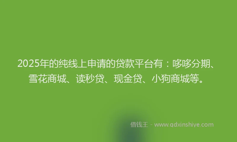 2025年的纯线上申请的贷款平台有：哆哆分期、雪花商城、读秒贷、现金贷、小狗商城等。