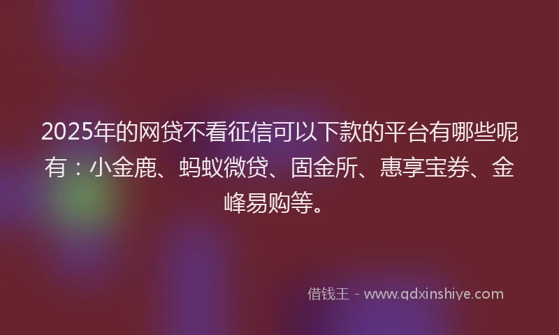 2025年的网贷不看征信可以下款的平台有哪些呢有：小金鹿、蚂蚁微贷、固金所、惠享宝券、金峰易购等。