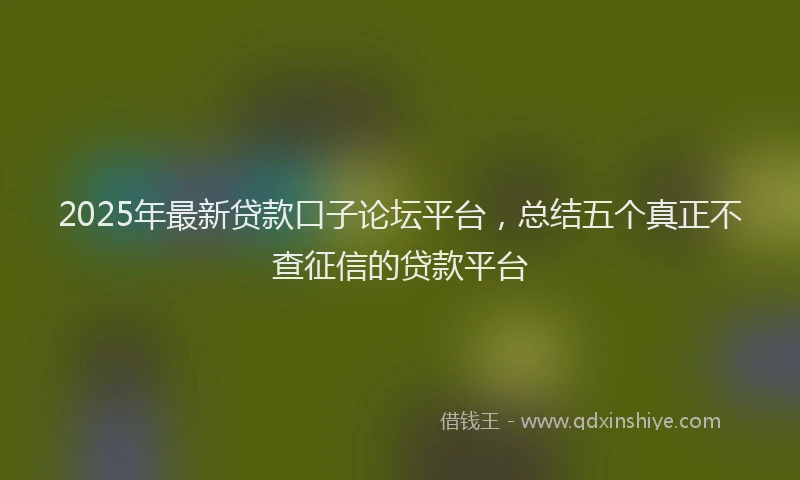 2025年最新贷款口子论坛平台，总结五个真正不查征信的贷款平台
