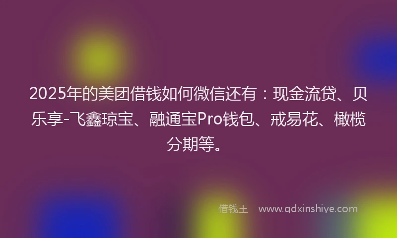 2025年的美团借钱如何微信还有：现金流贷、贝乐享-飞鑫琼宝、融通宝Pro钱包、戒易花、橄榄分期等。