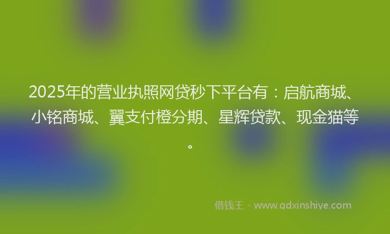 2025年的营业执照网贷秒下平台有：启航商城、小铭商城、翼支付橙分期、星辉贷款、现金猫等。