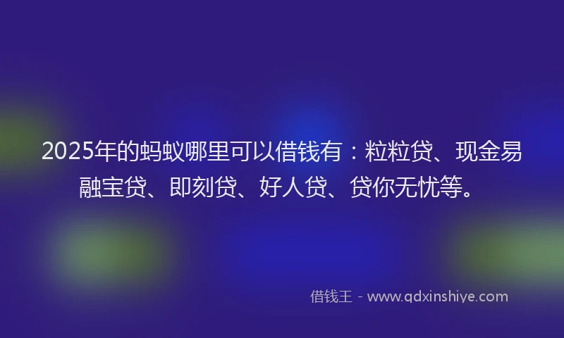 2025年的蚂蚁哪里可以借钱有：粒粒贷、现金易融宝贷、即刻贷、好人贷、贷你无忧等。