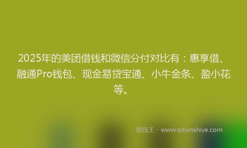 2025年的美团借钱和微信分付对比有：惠享借、融通Pro钱包、现金易贷宝通、小牛金条、盈小花等。